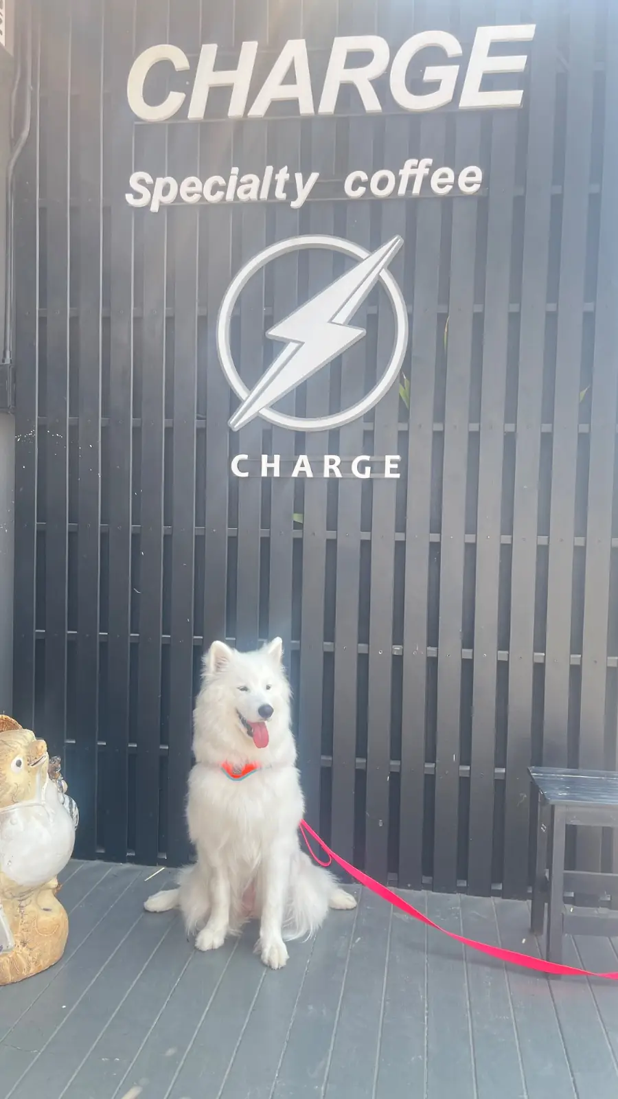CHARGE Specialty coffee pets image 1