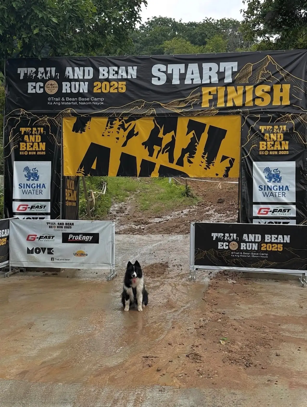 Trail and Bean pets image 2