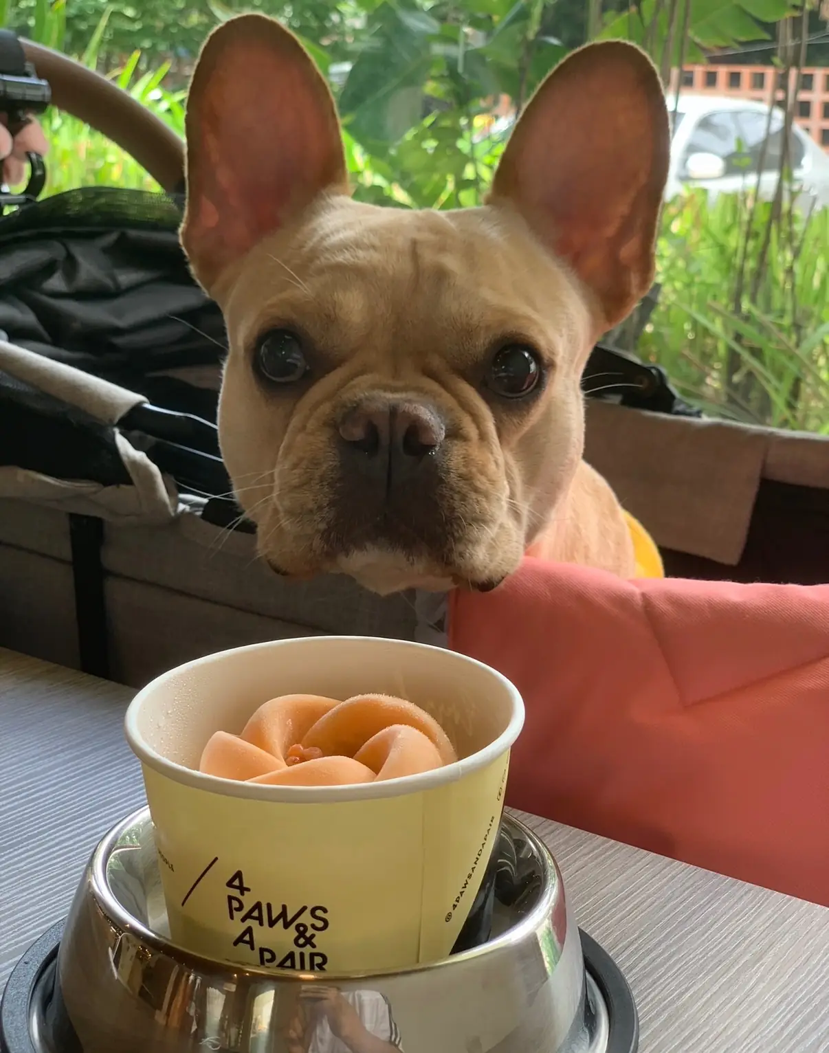 PaMaHeng The Eatery pets image 1