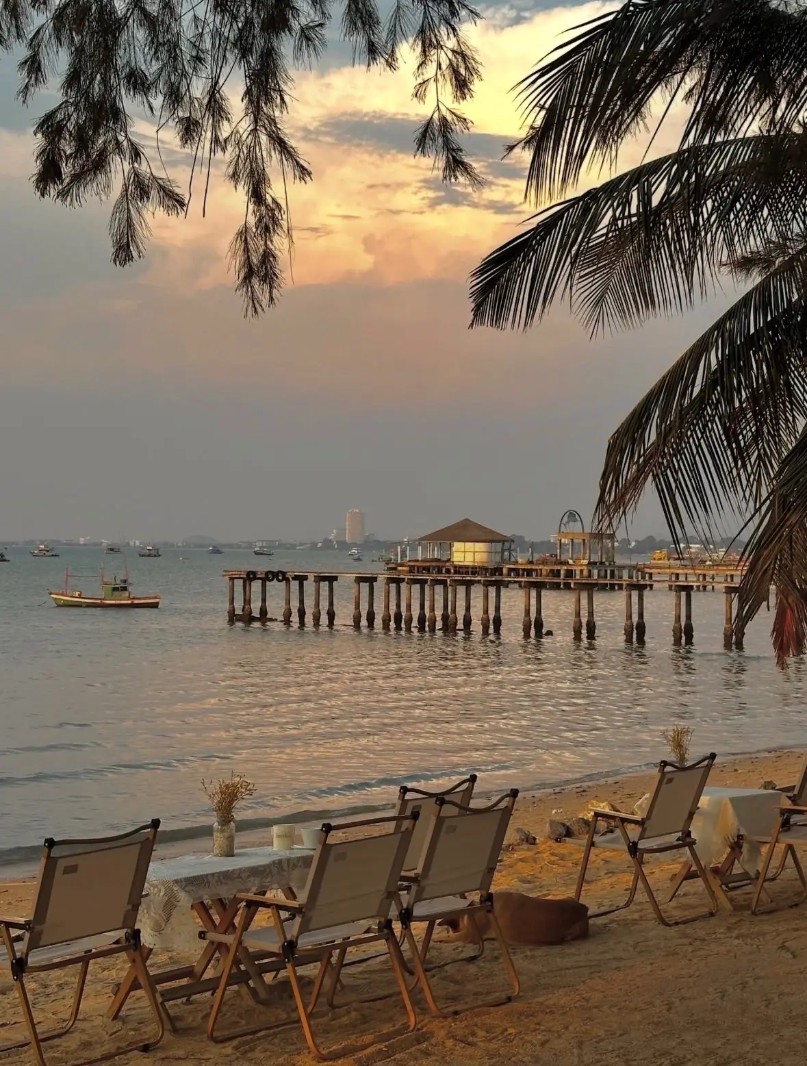 Coco Rodante overall image 2