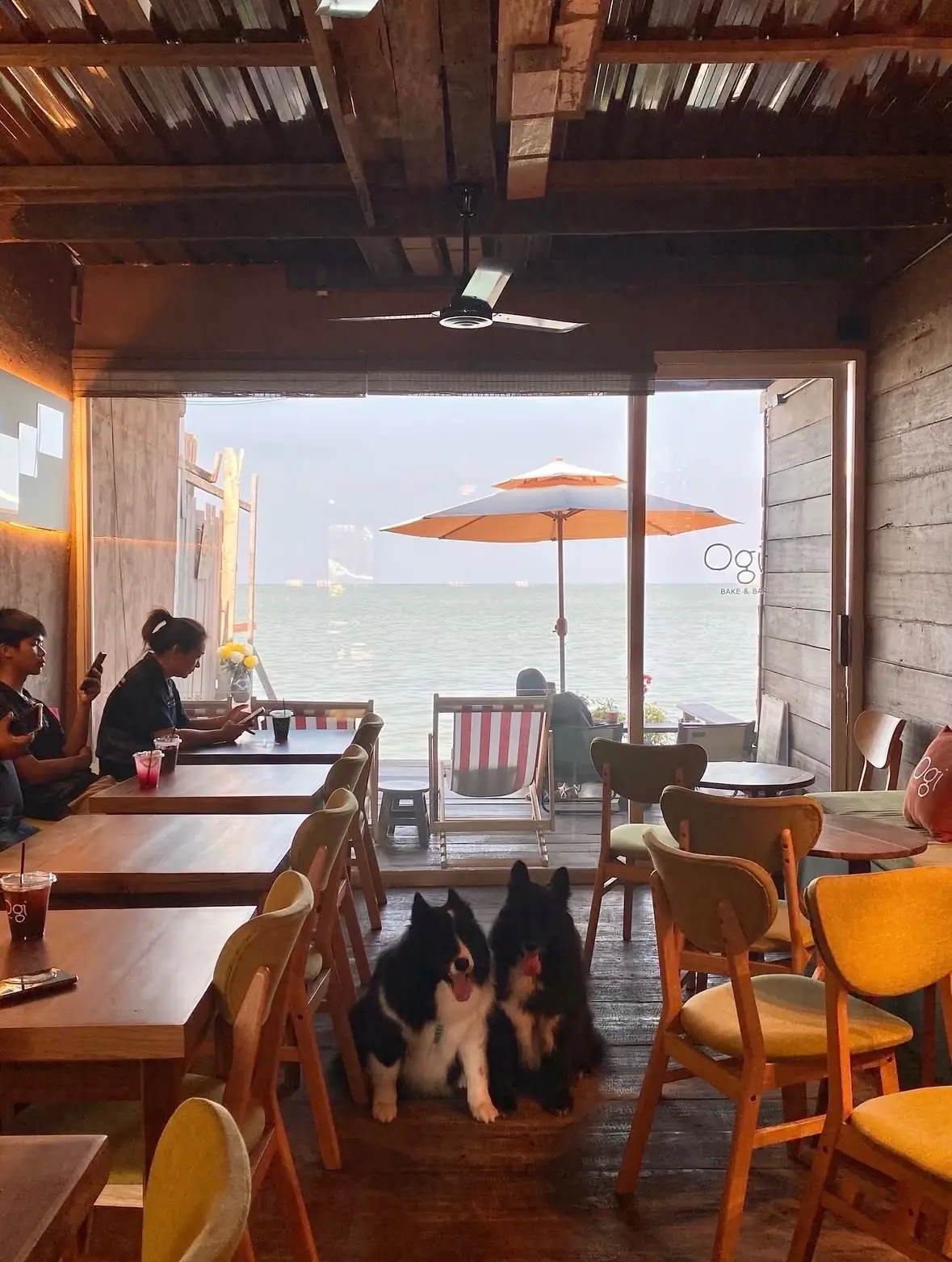 Ogi Bake & Bar pets image 2