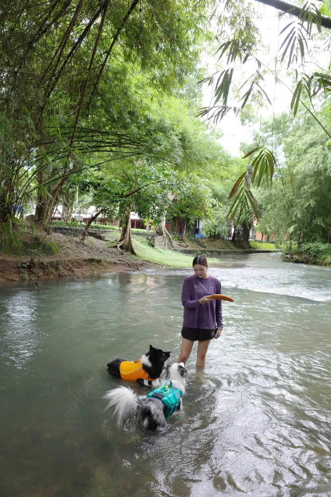 Baan Baan Camping - Nakhon Nayok pets image 3