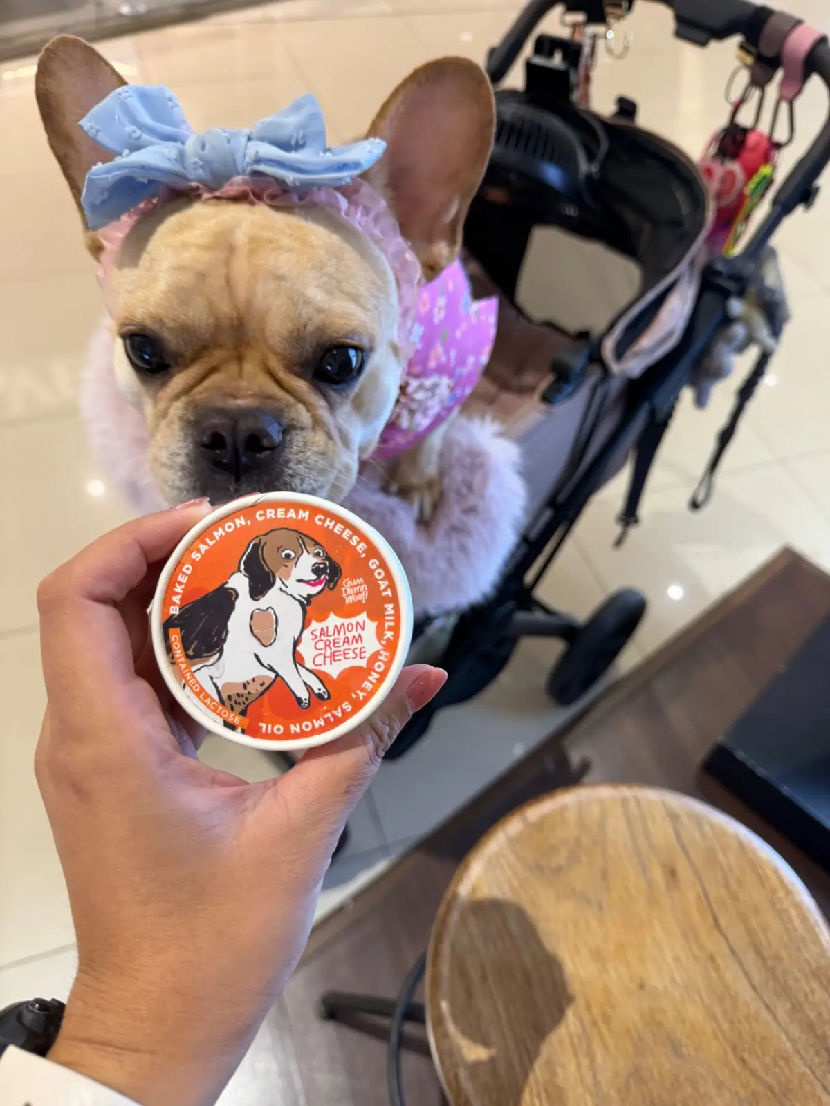Guss Damn Good pets image 1