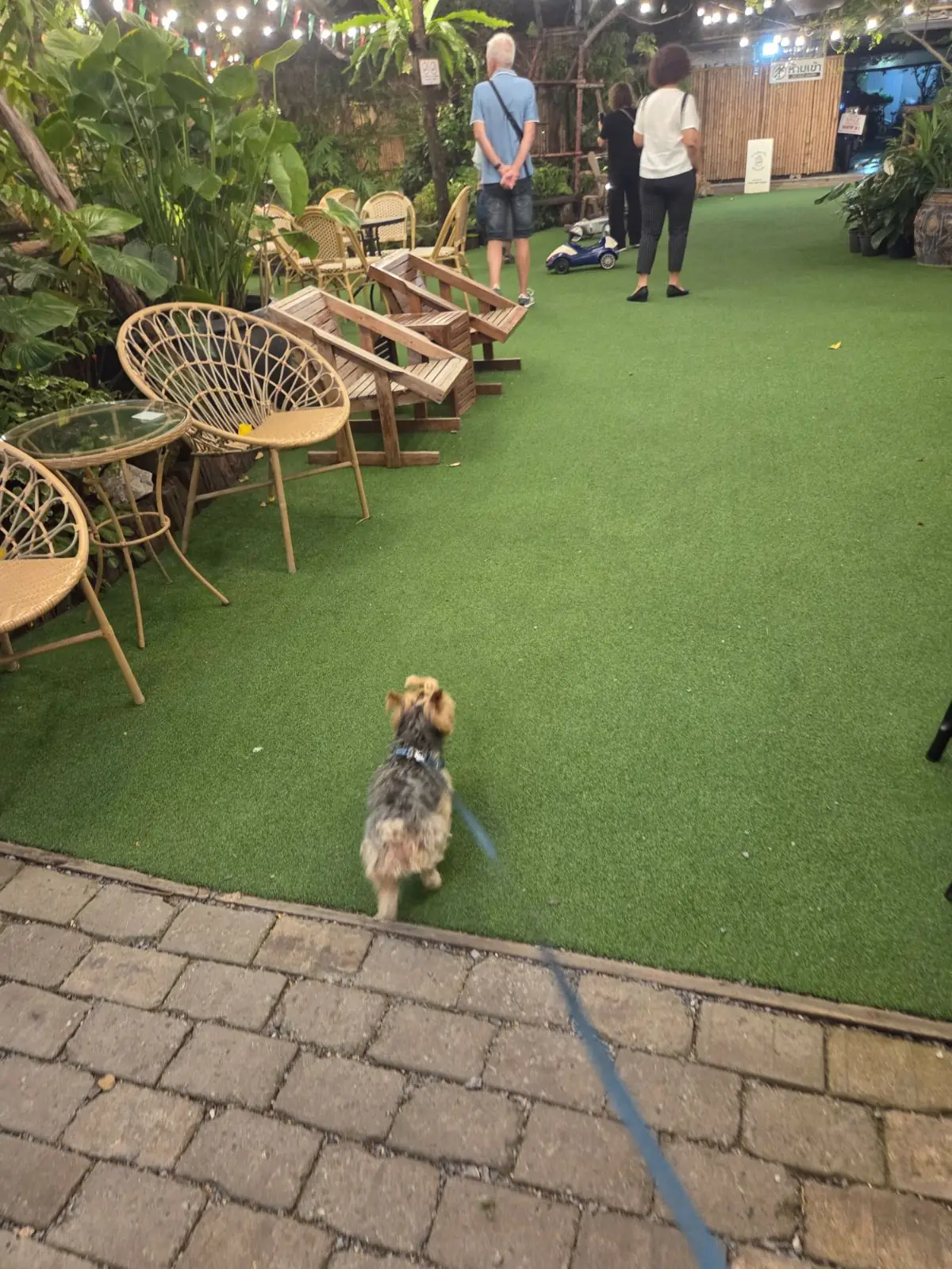 ครูสายฐิพย์ ambiance image 1