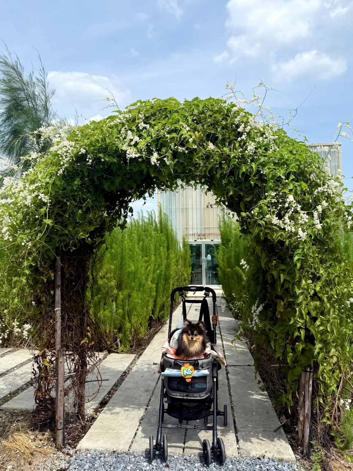 Lamer Homecraft pets image 1