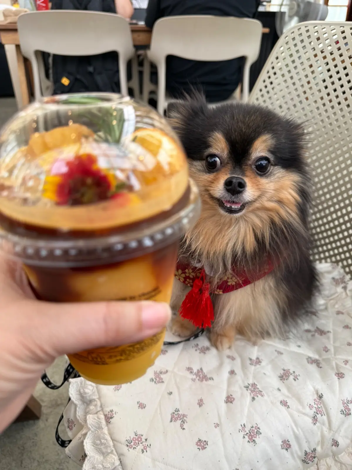 Lamer Homecraft food image 6