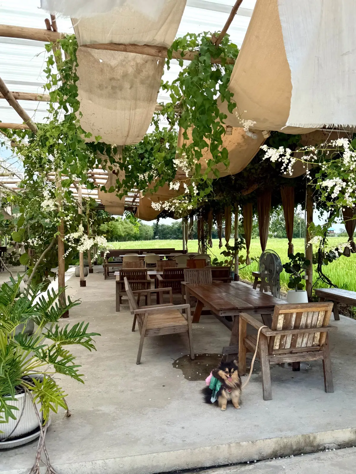 Lamer Homecraft ambiance image 1