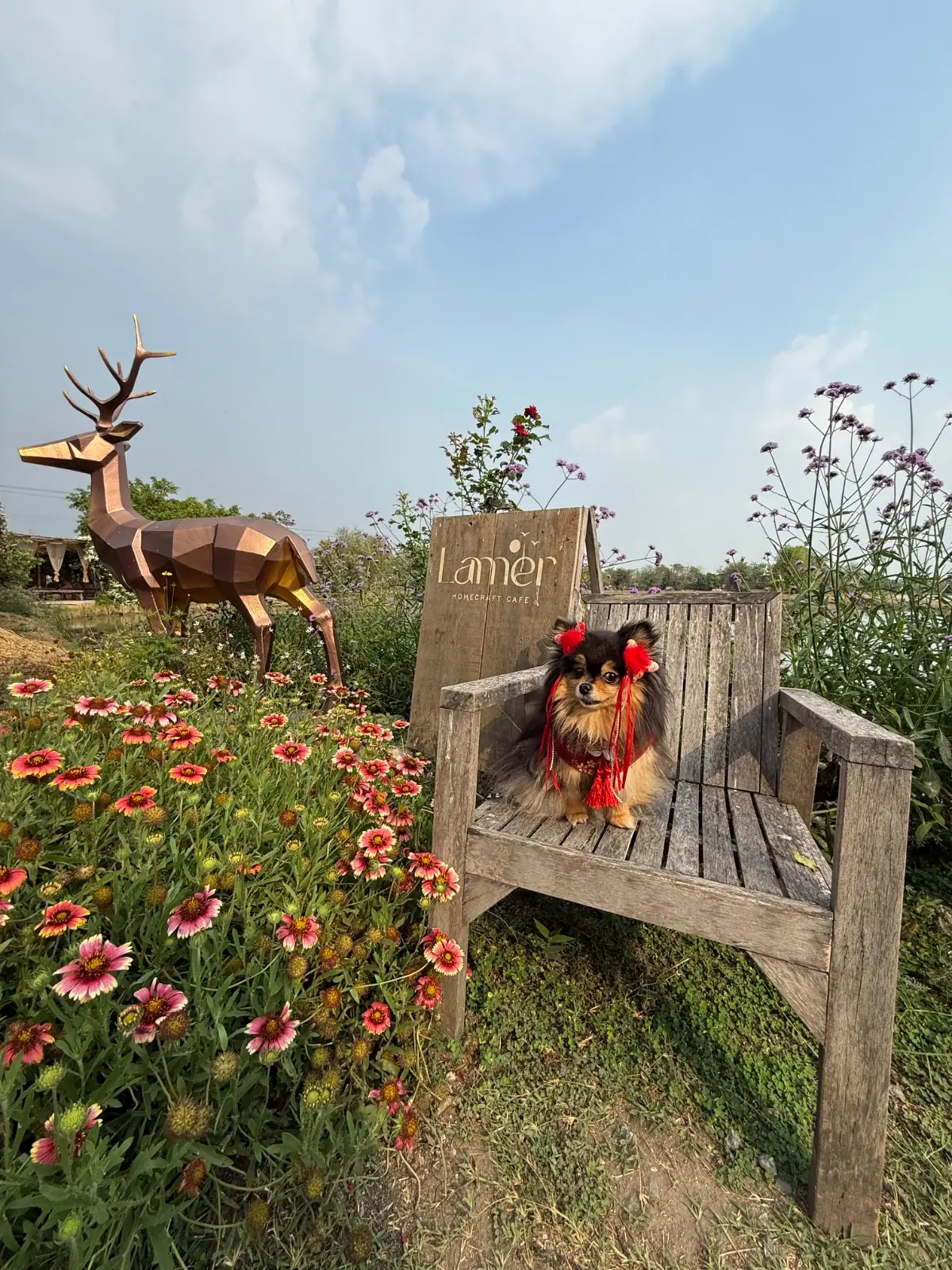 Lamer Homecraft pets image 5