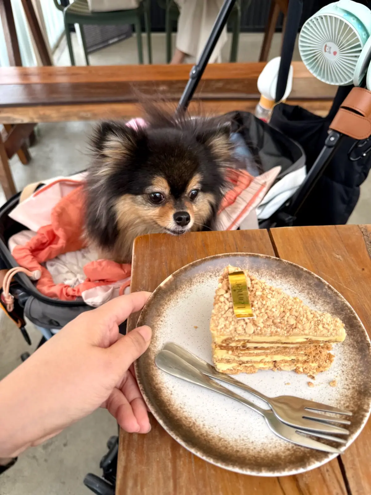 Lamer Homecraft food image 1