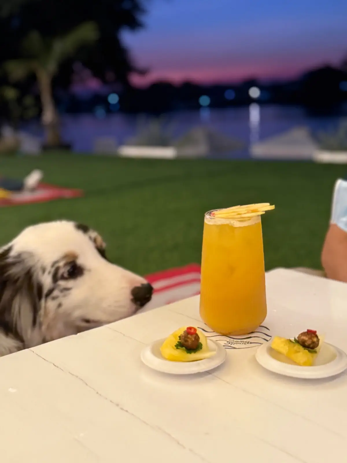 The Summer House pets image 2