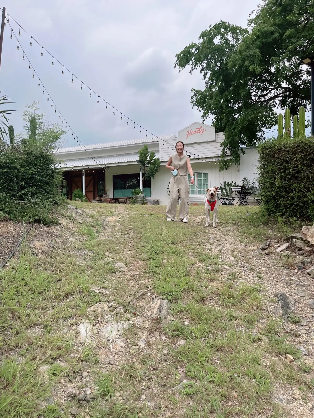 Howdy Cafe&Bistro ambiance image 1