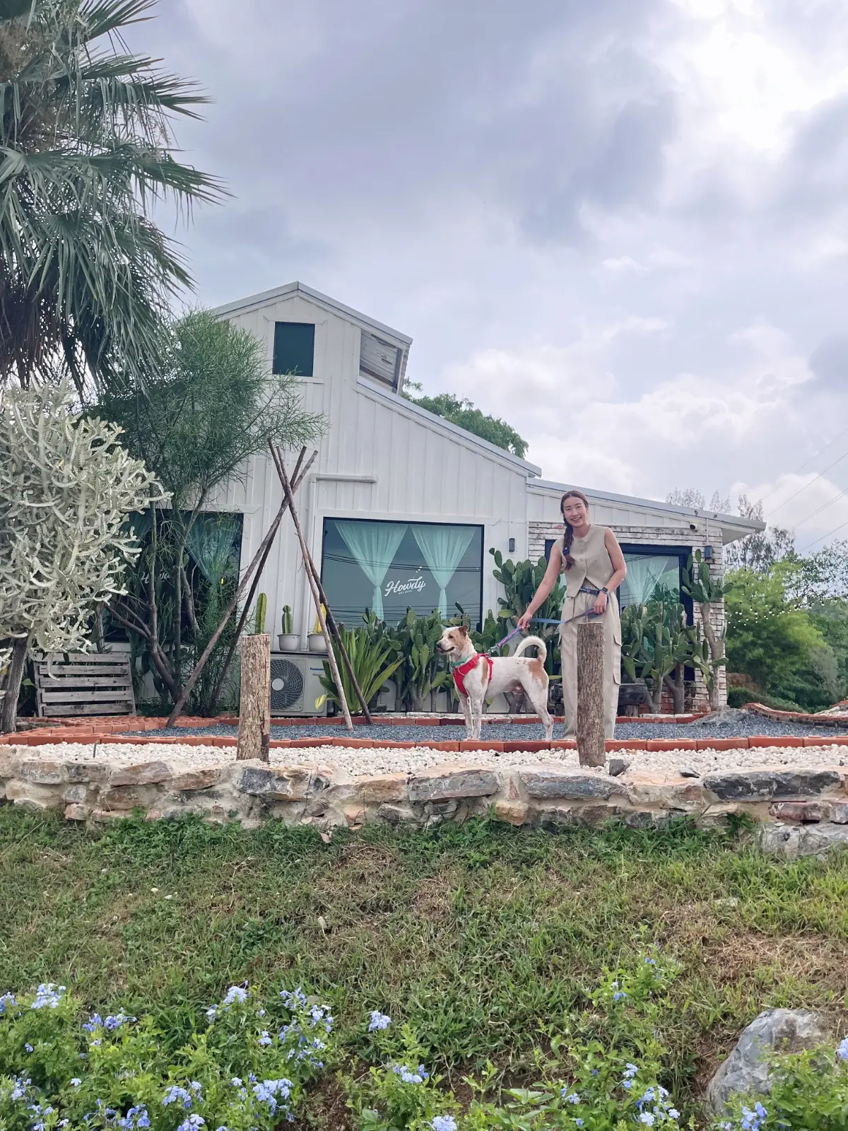 Howdy Cafe&Bistro ambiance image 2