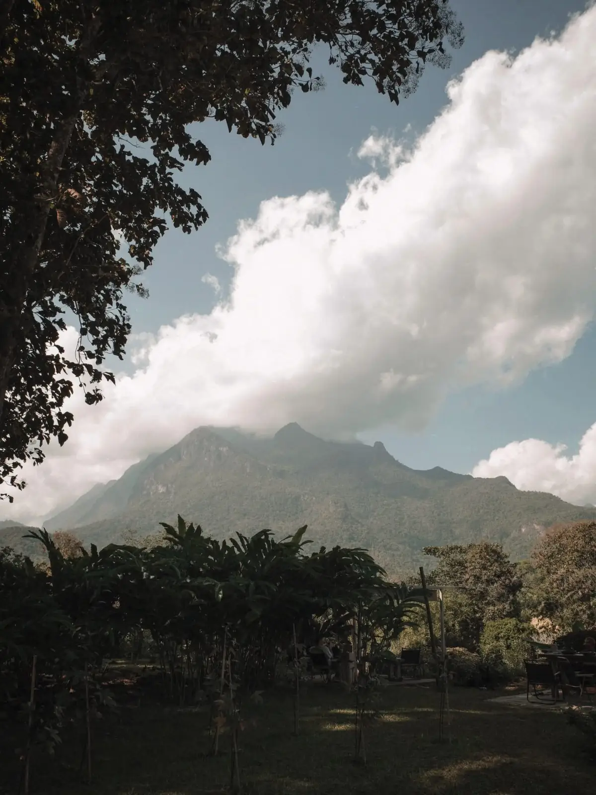 TATA Chiang Dao Cafe and Farm overall image 1