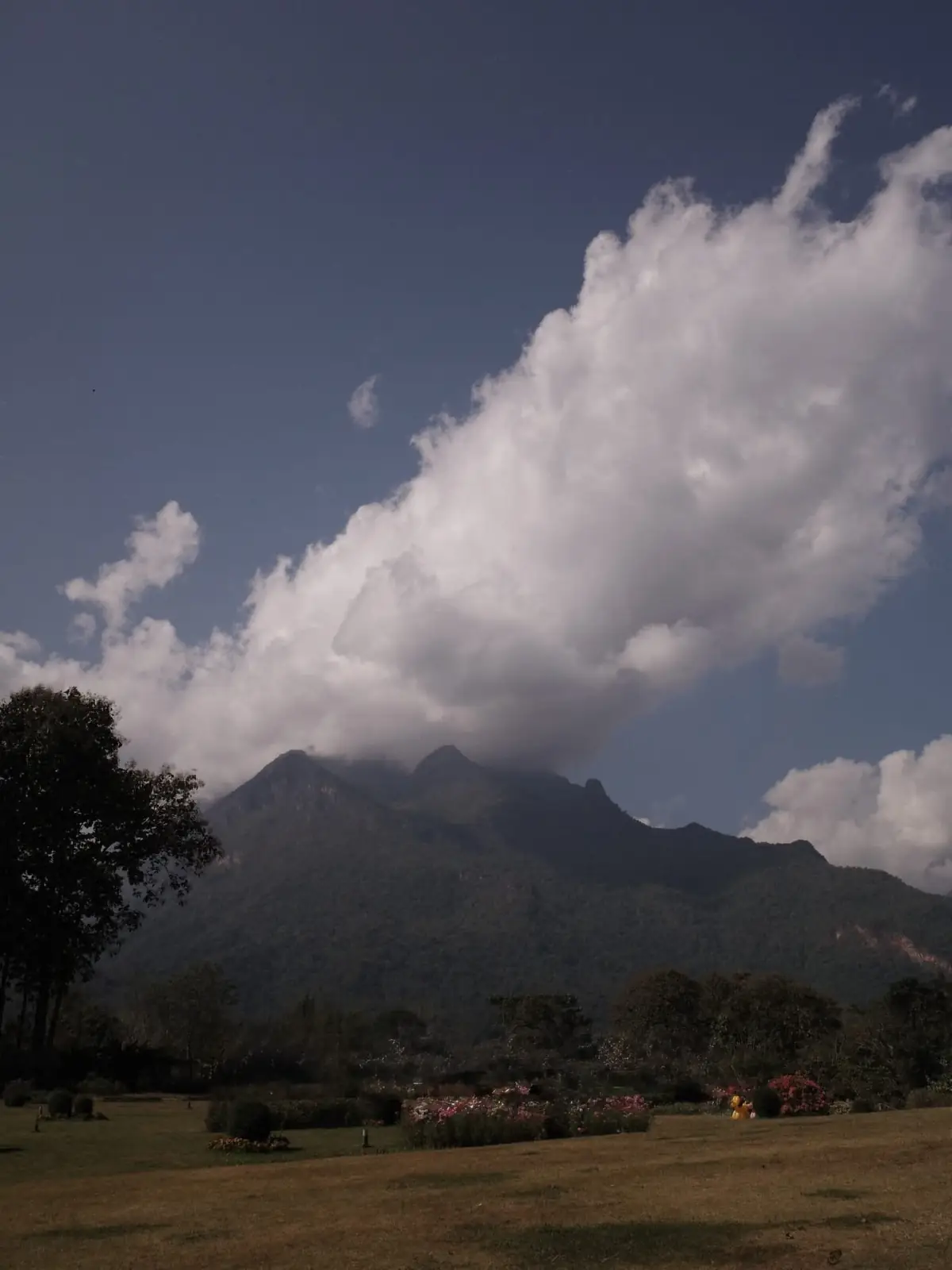 TATA Chiang Dao Cafe and Farm overall image 2