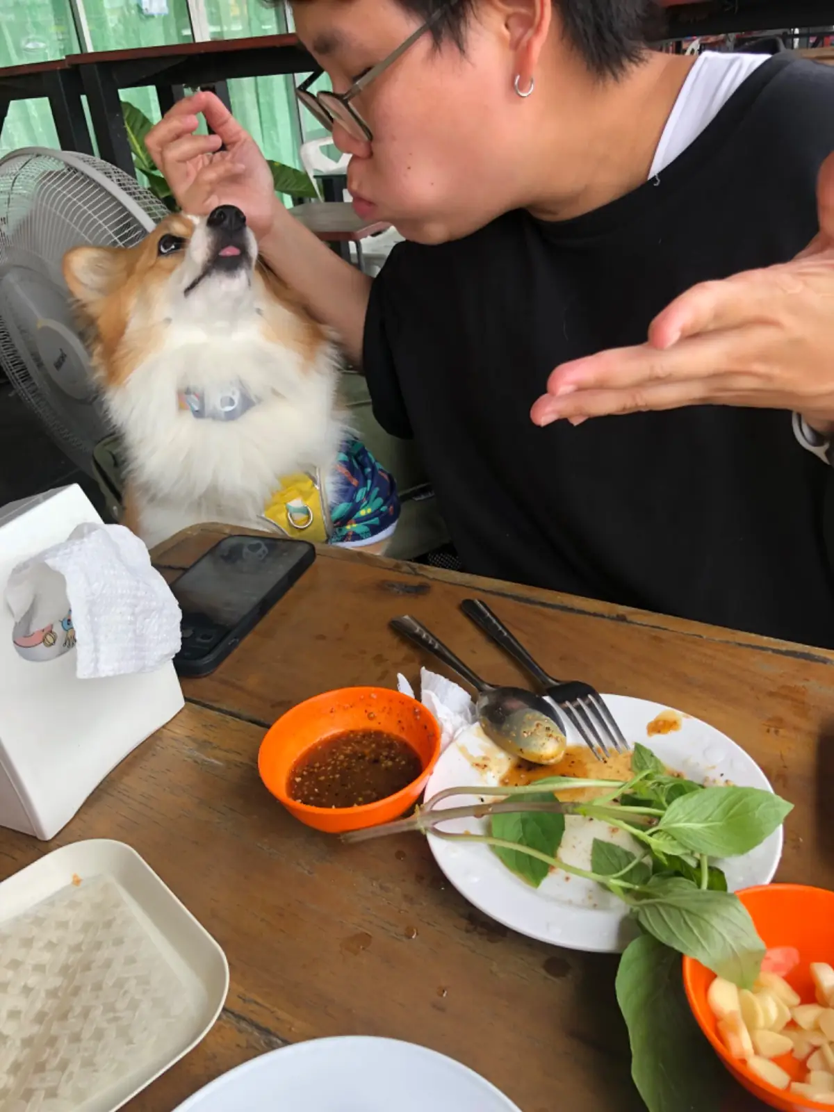 Top แหนมเนือง pets image 1