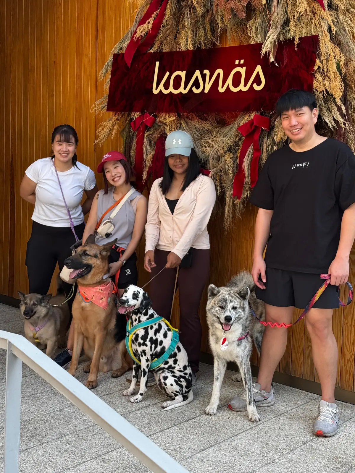 Kasnasbkk pets image 4