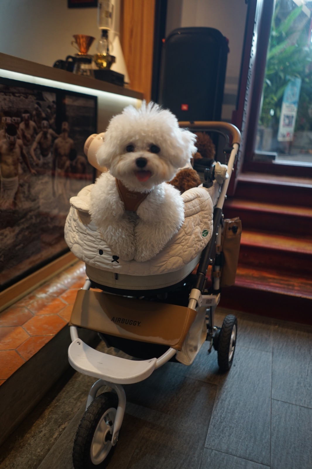 Photohostel & Photocafe pets image 3