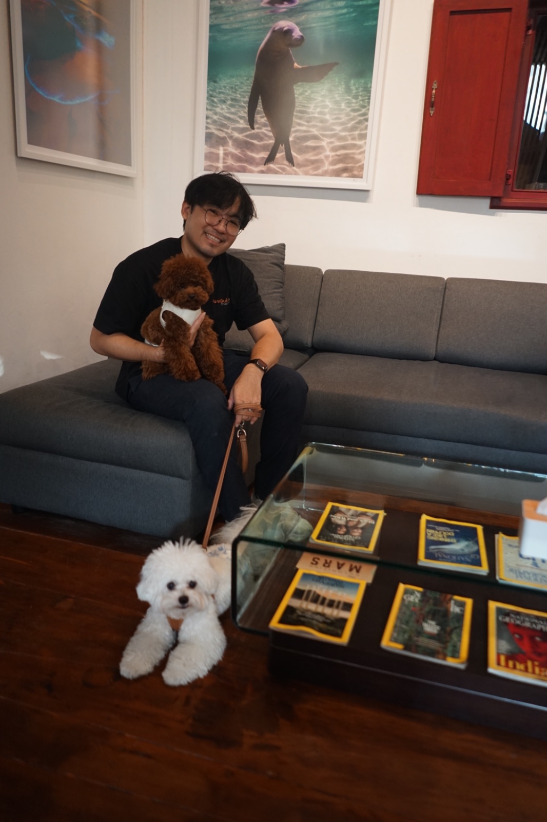 Photohostel & Photocafe pets image 2