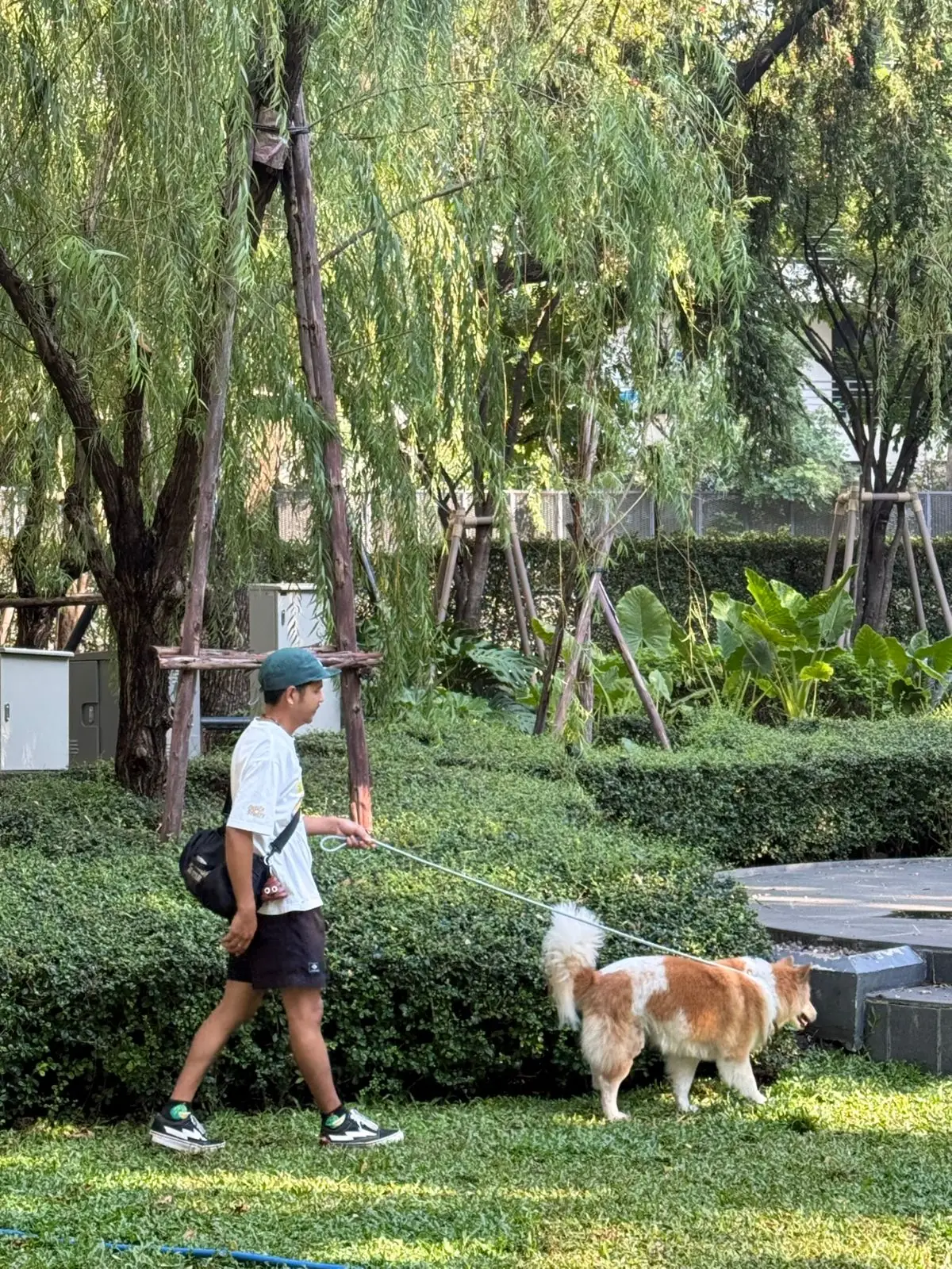 คราฟ pets image 10