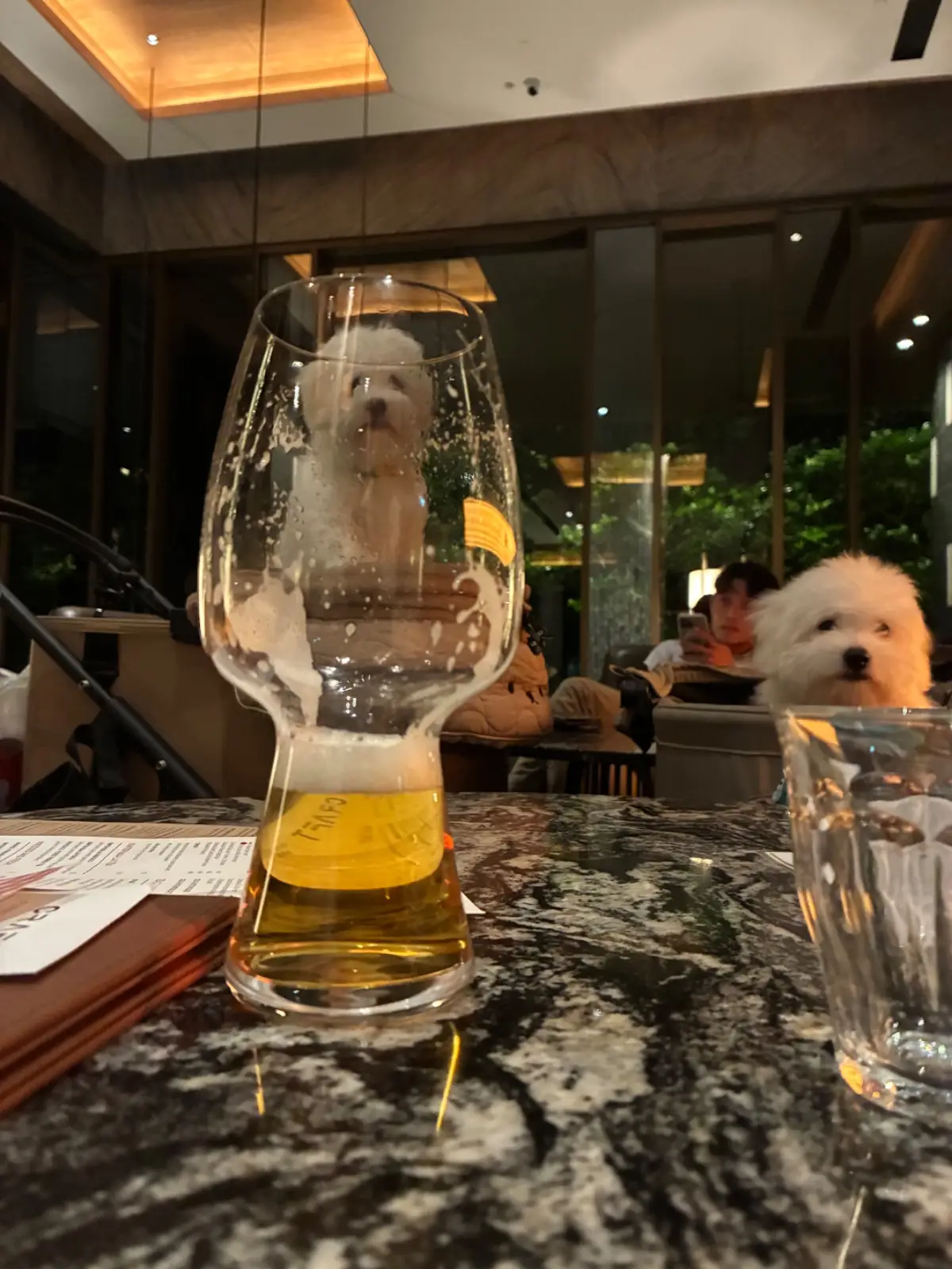 คราฟ pets image 4