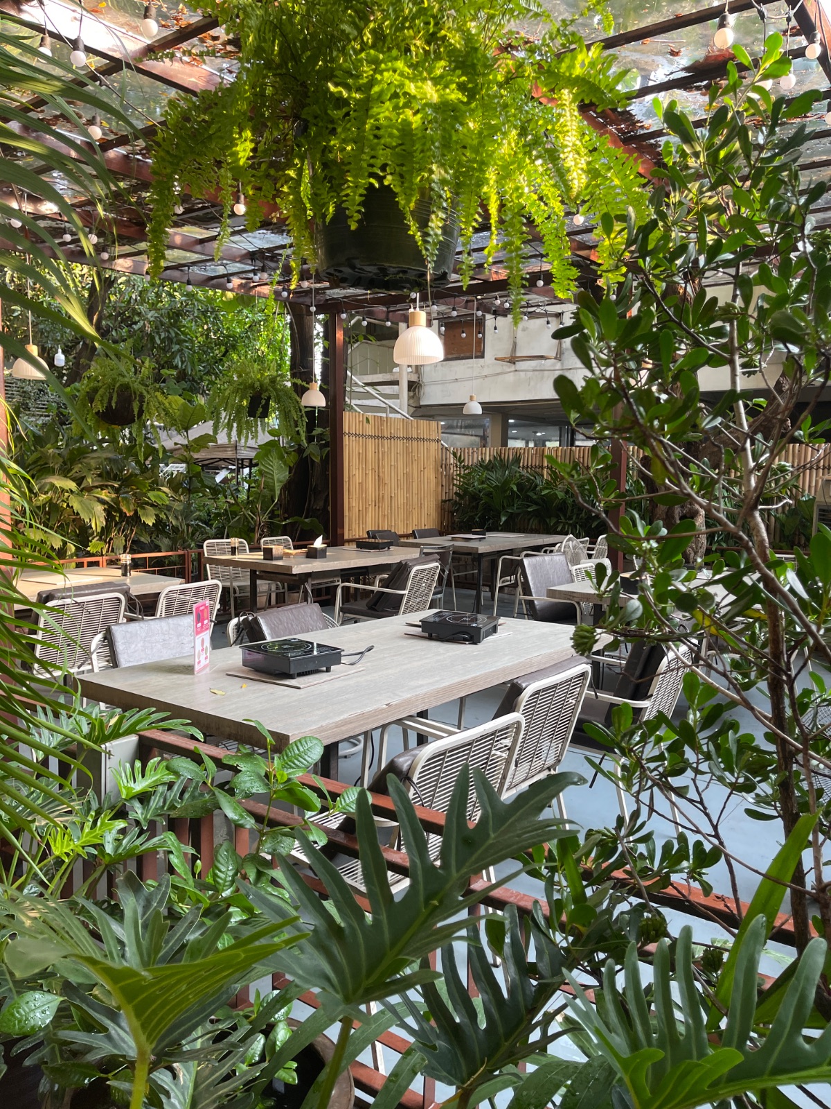 Shimi Shabu ambiance image 5