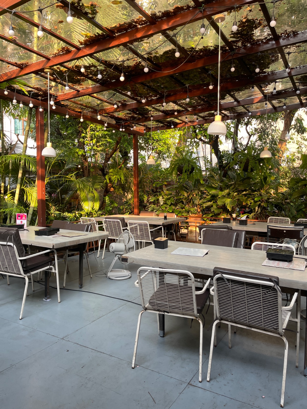 Shimi Shabu overall image 3