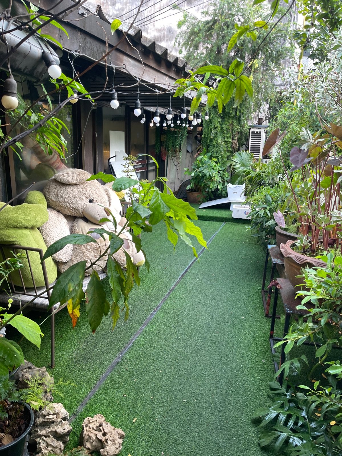 Shimi Shabu ambiance image 2