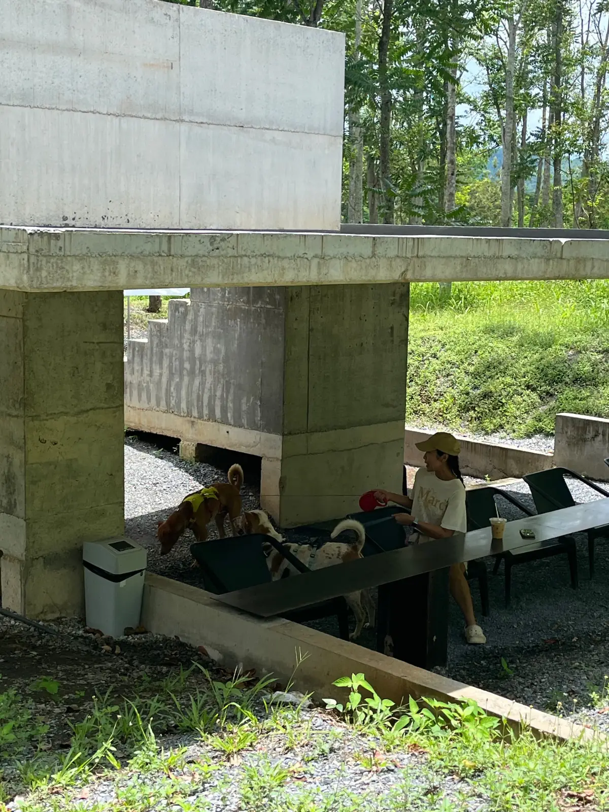 Yellow Submarine Coffee Tank ambiance image 1