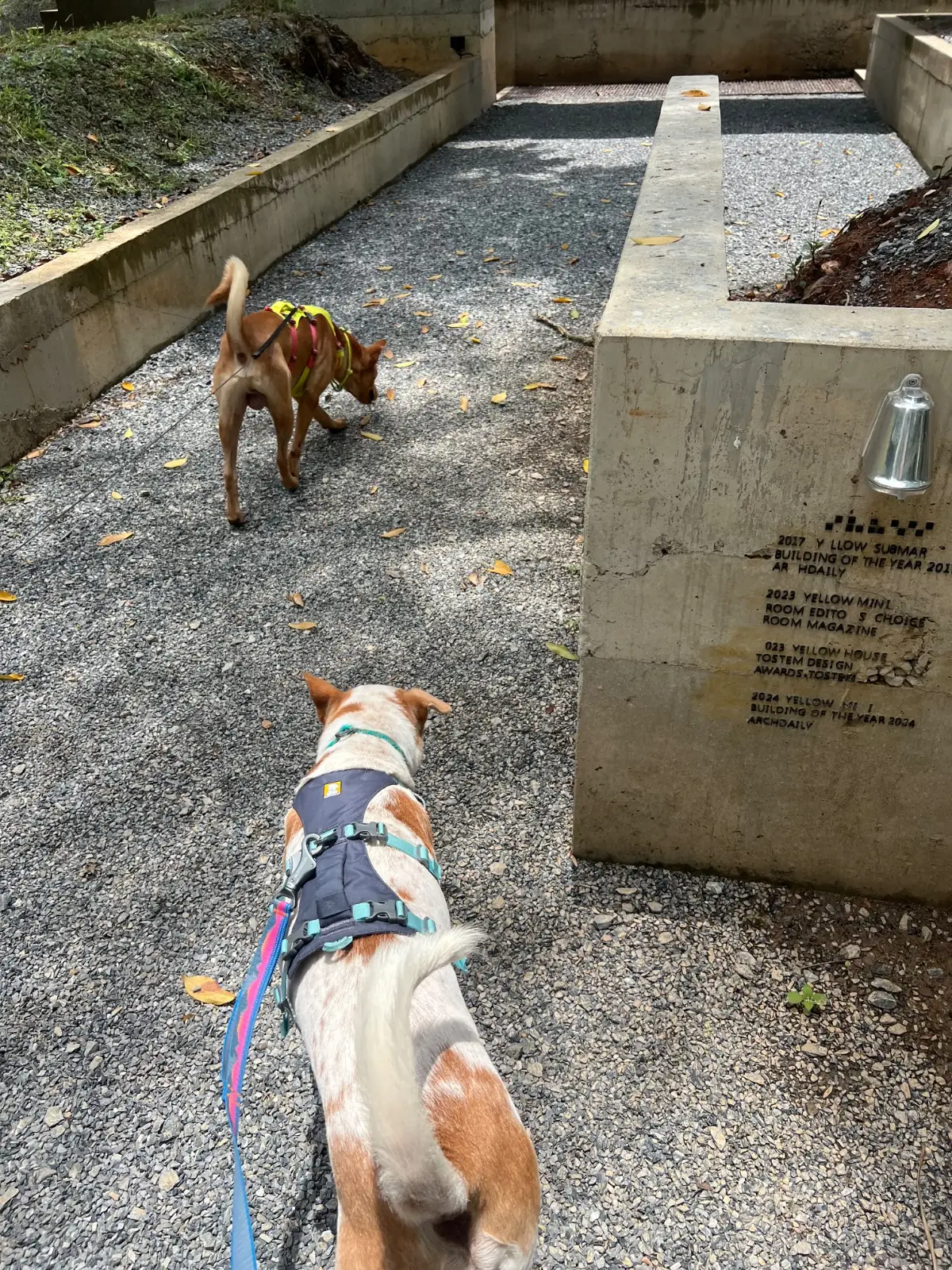 Yellow Submarine Coffee Tank pets image 1