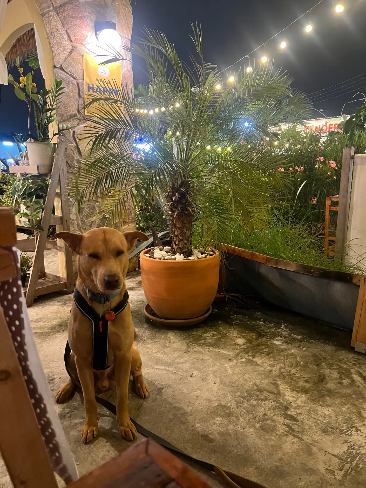 Bromo Rimklong Mookrata ambiance image 1