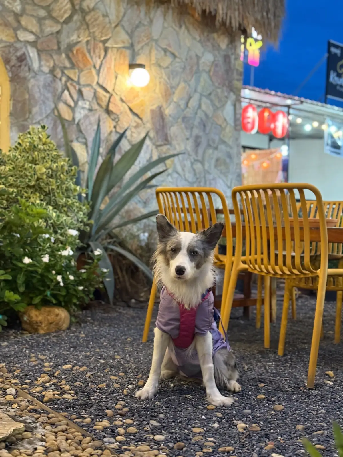 Bromo Rimklong Mookrata ambiance image 2