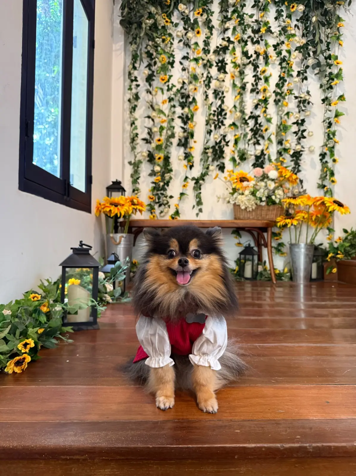 Ryoku Cafe other image 2