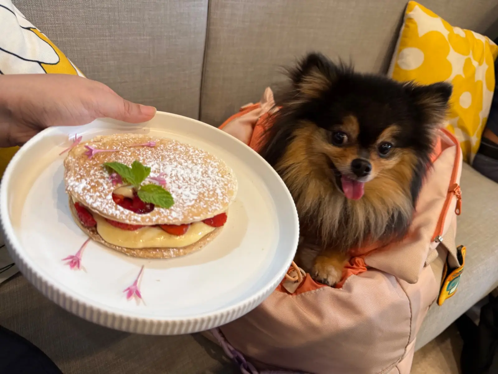 Ryoku Cafe other image 4