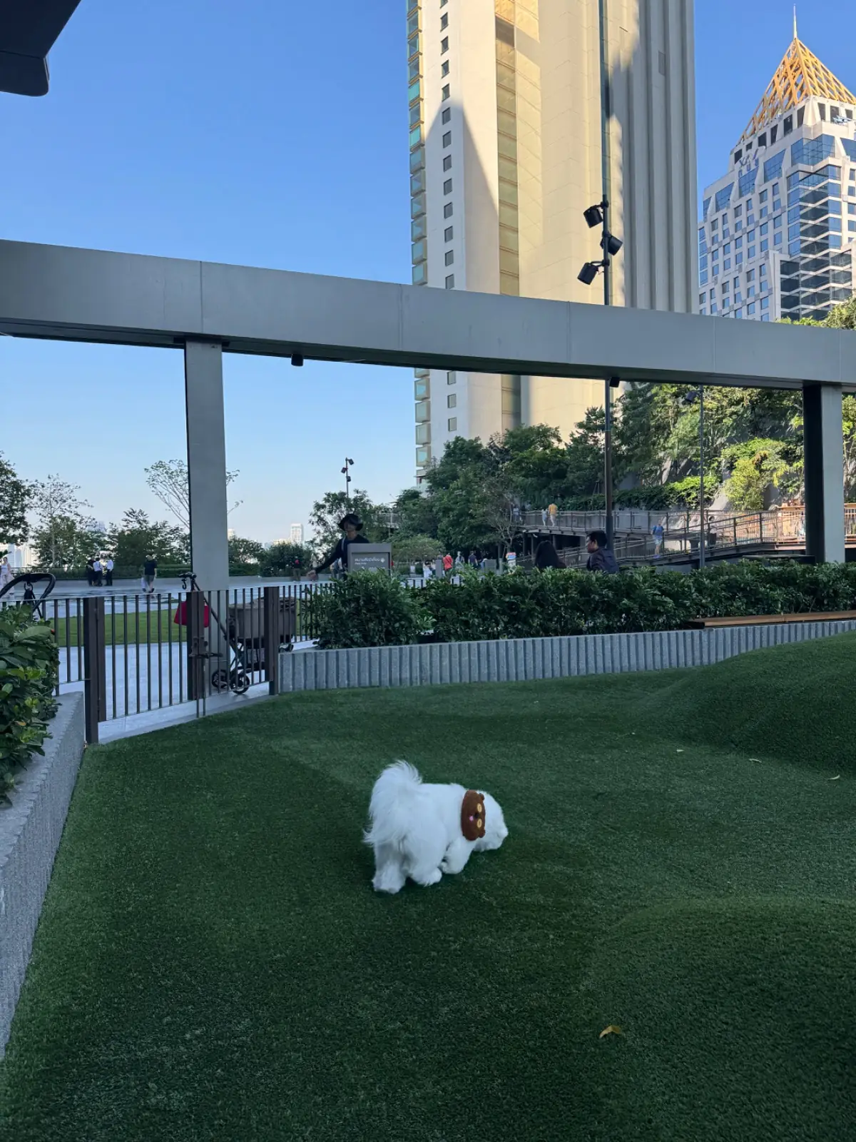 GOOD CHĀ MATCHA - Dusit Central Park pets image 1