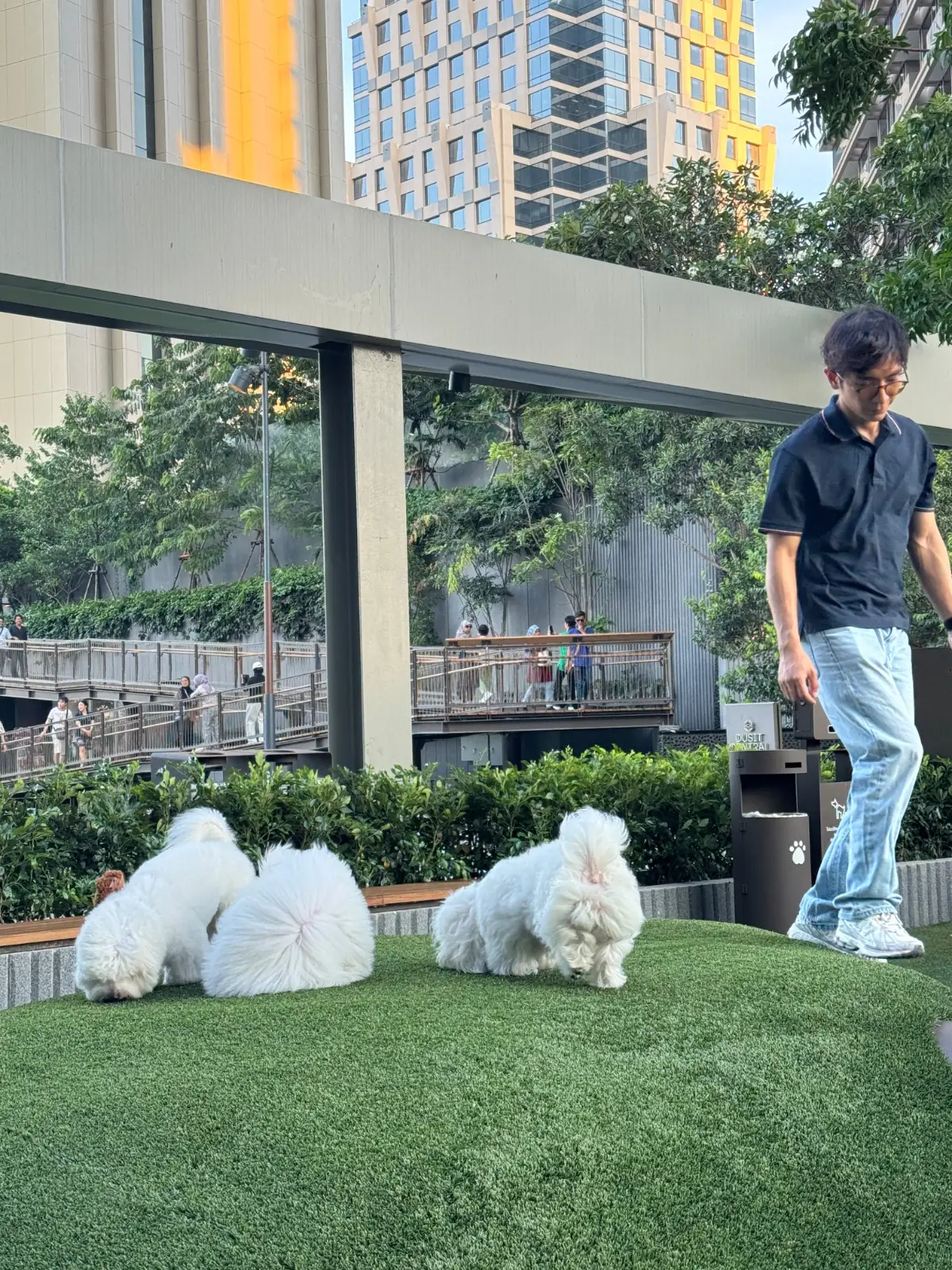 GOOD CHĀ MATCHA - Dusit Central Park pets image 2