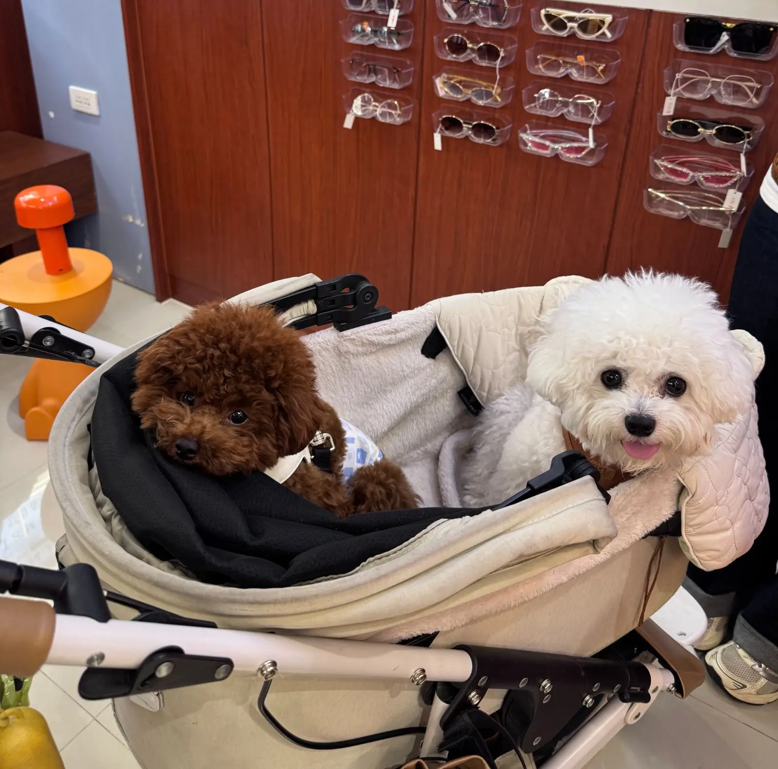 Teanee & Treasures pets image 1