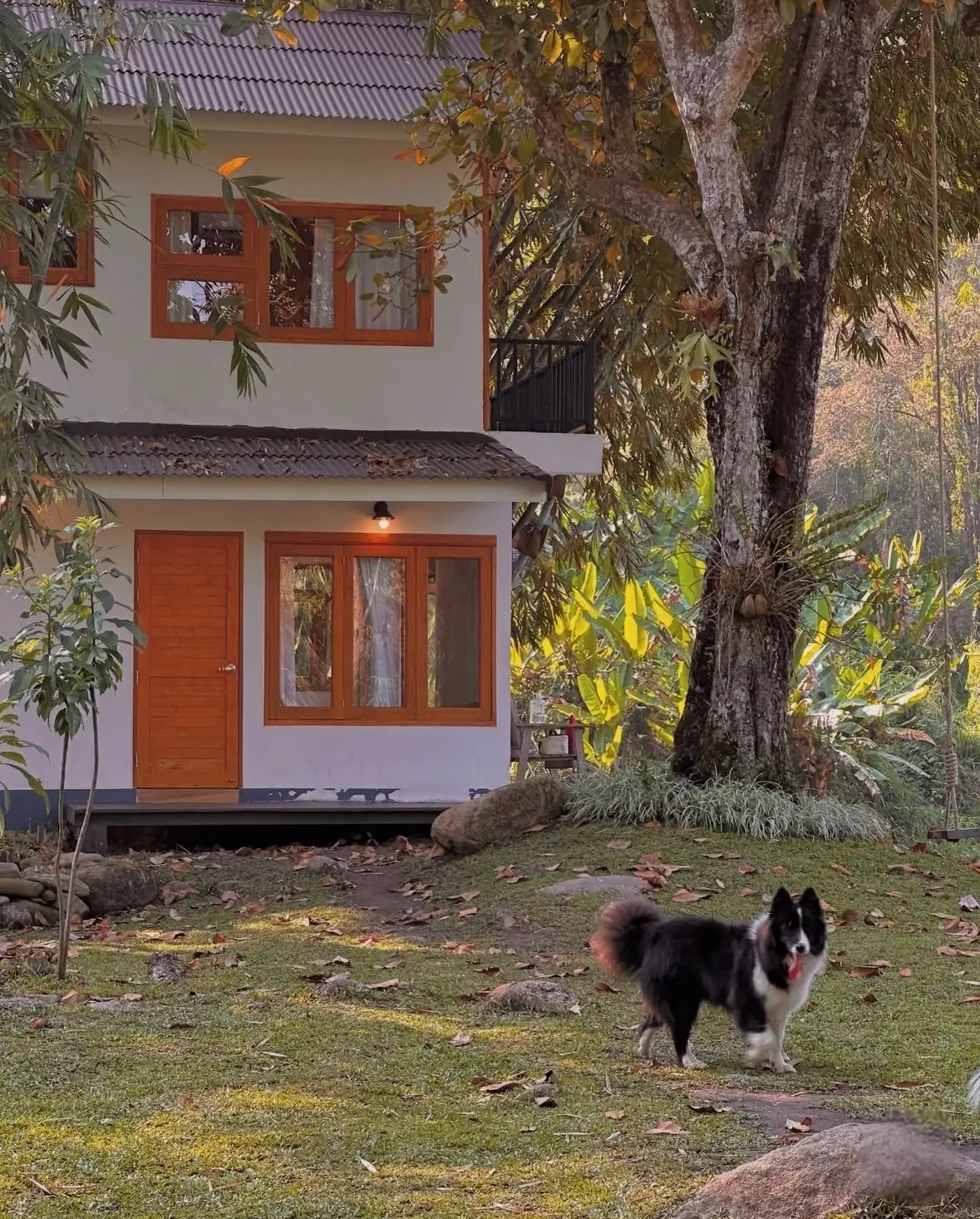 พฤกษาธารา ไพรเวทโฮม pets image 2