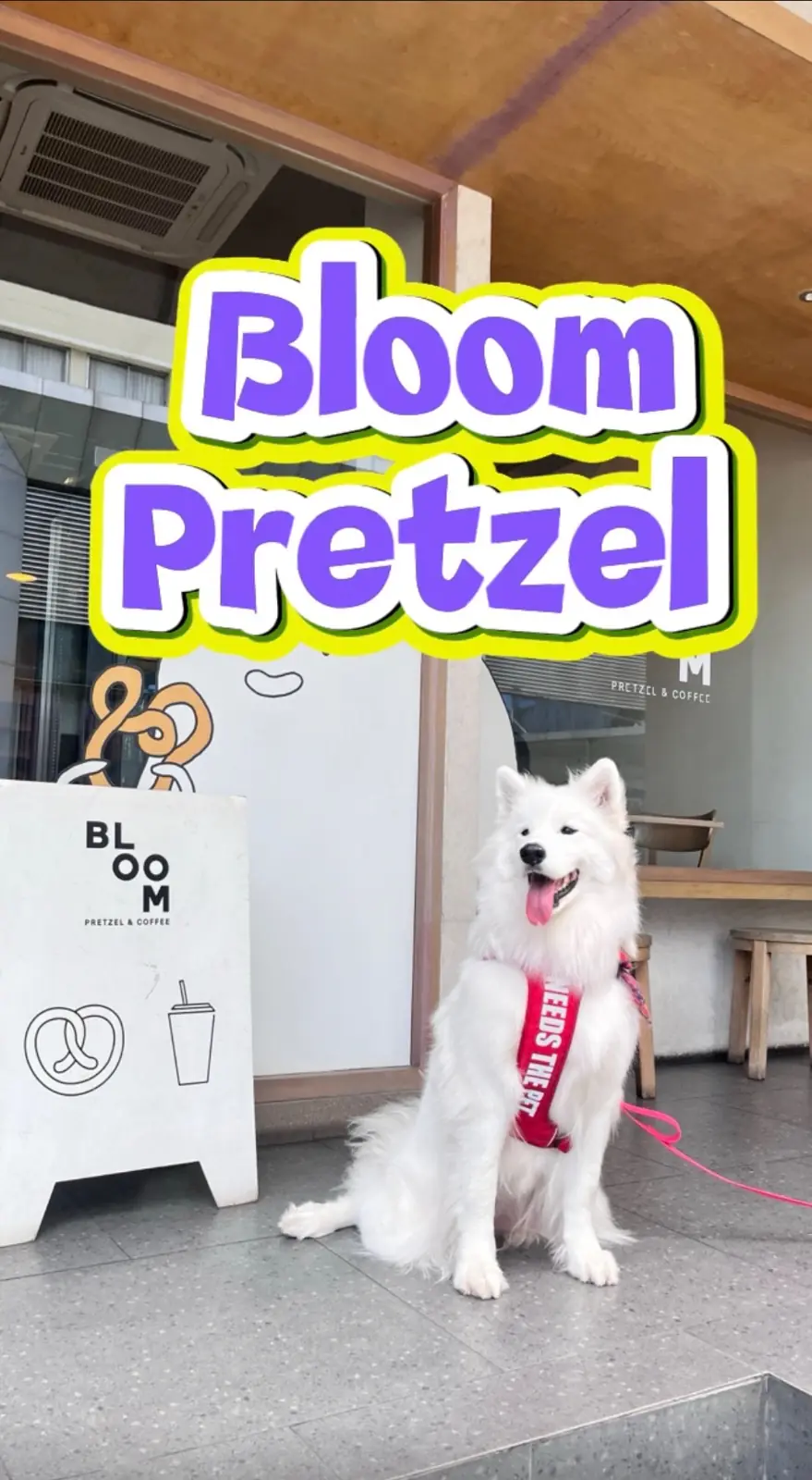BLOOM pretzel & coffee pets image 5