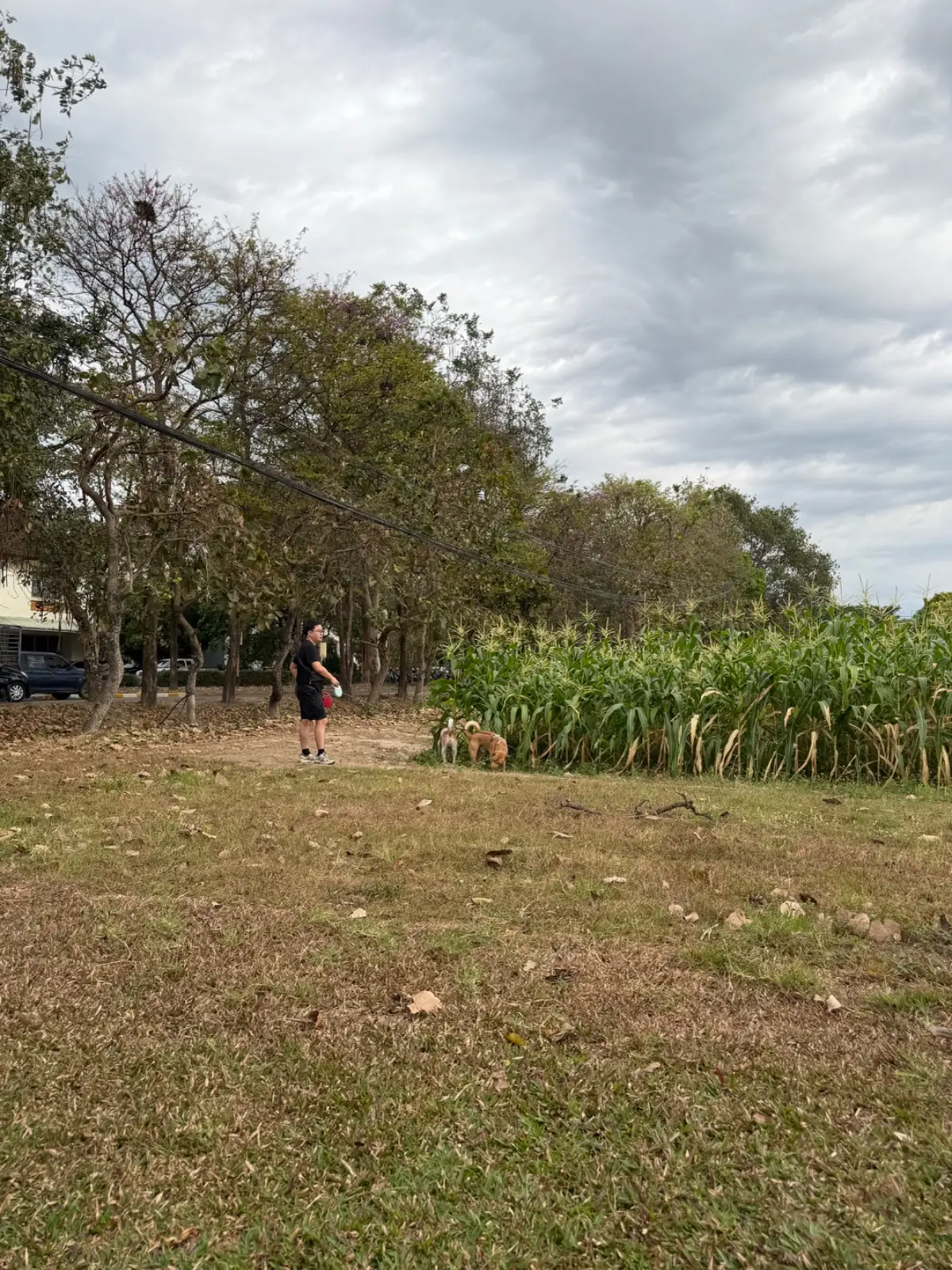 Blue Coffee at Agriculture CMU ambiance image 1