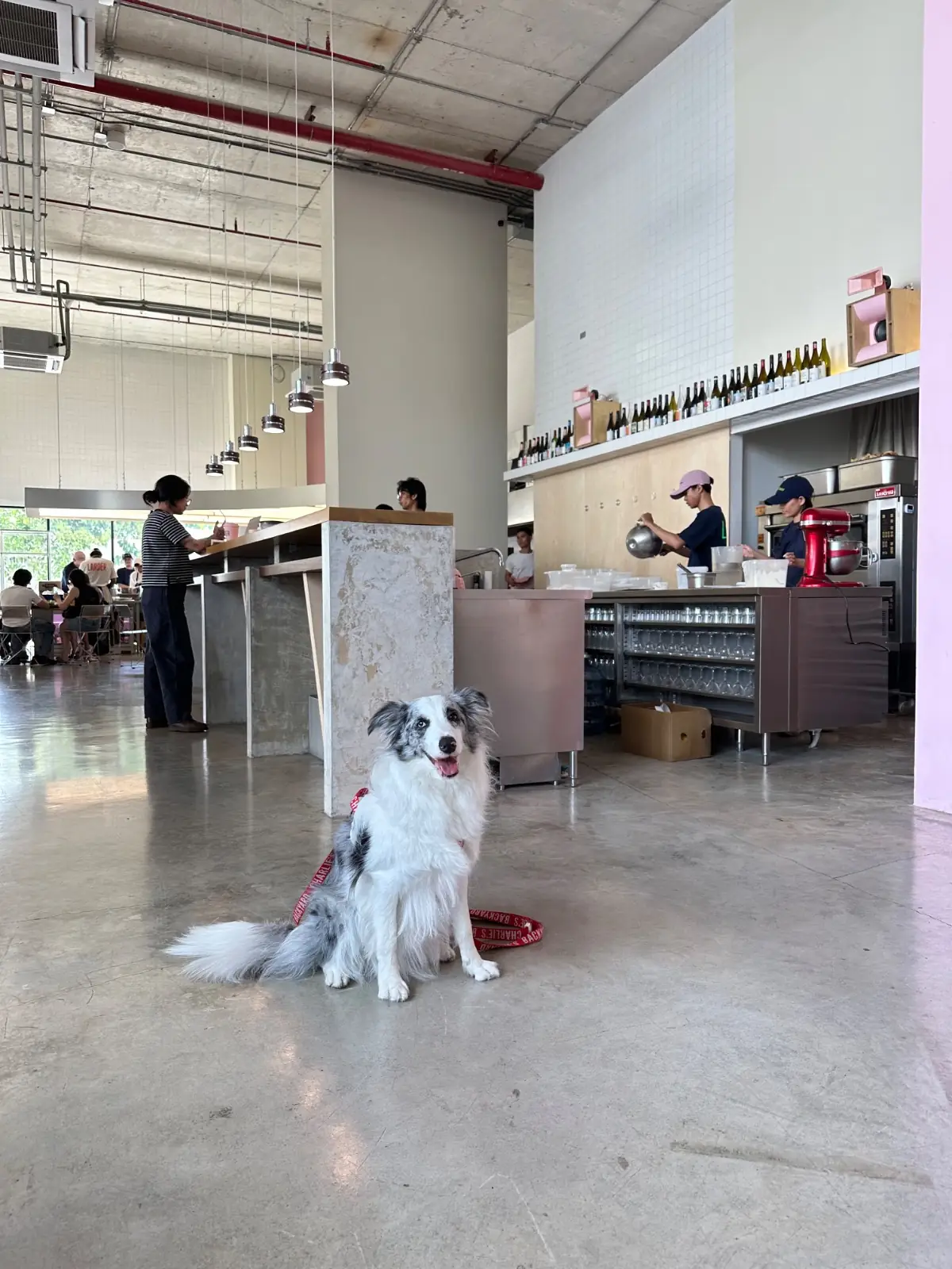 LARDER - Chatuchak overall image 1