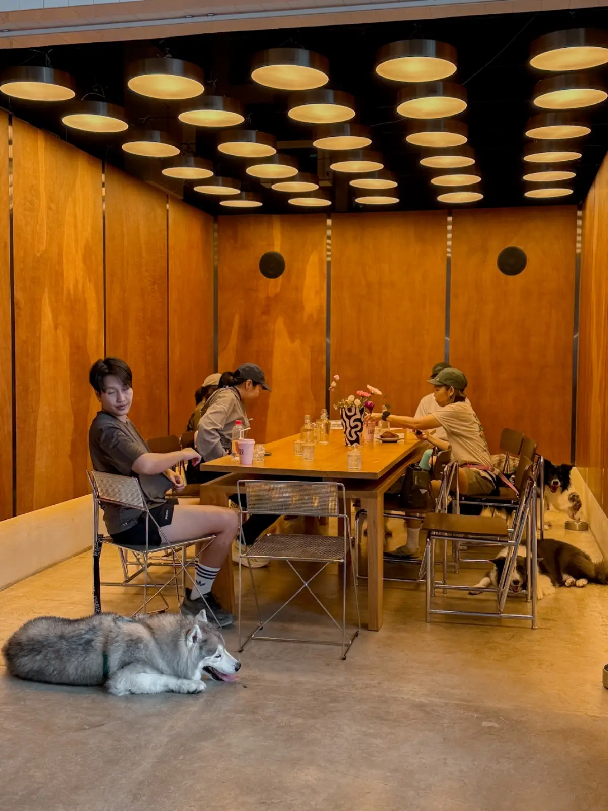 LARDER - Chatuchak overall image 3