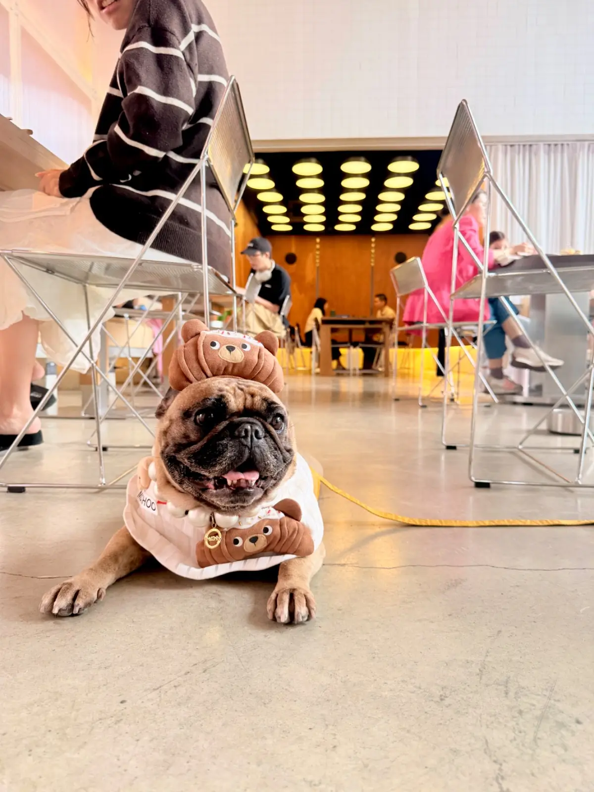 LARDER - Chatuchak pets image 9