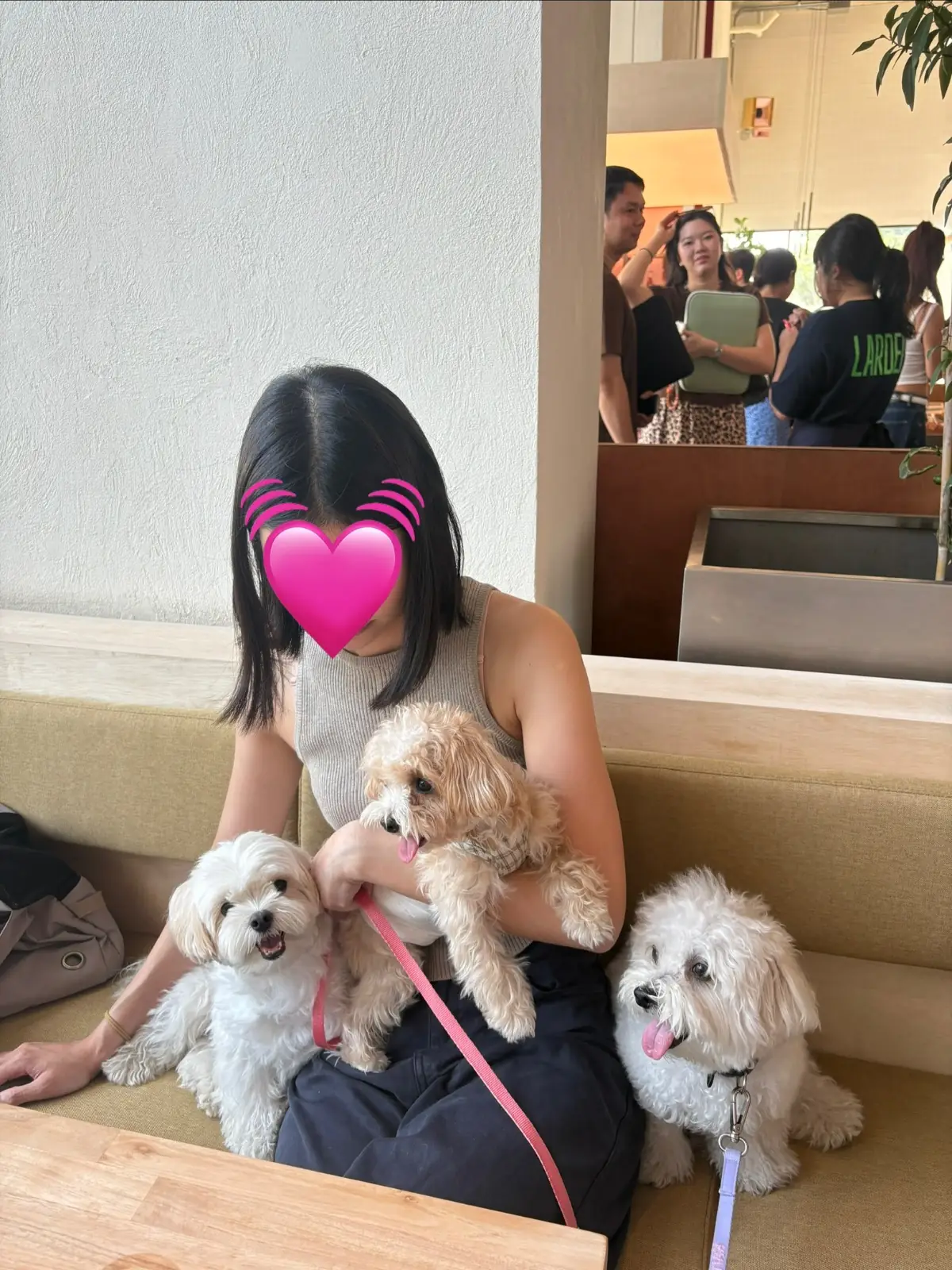 Larder - Chatuchak pets image 1