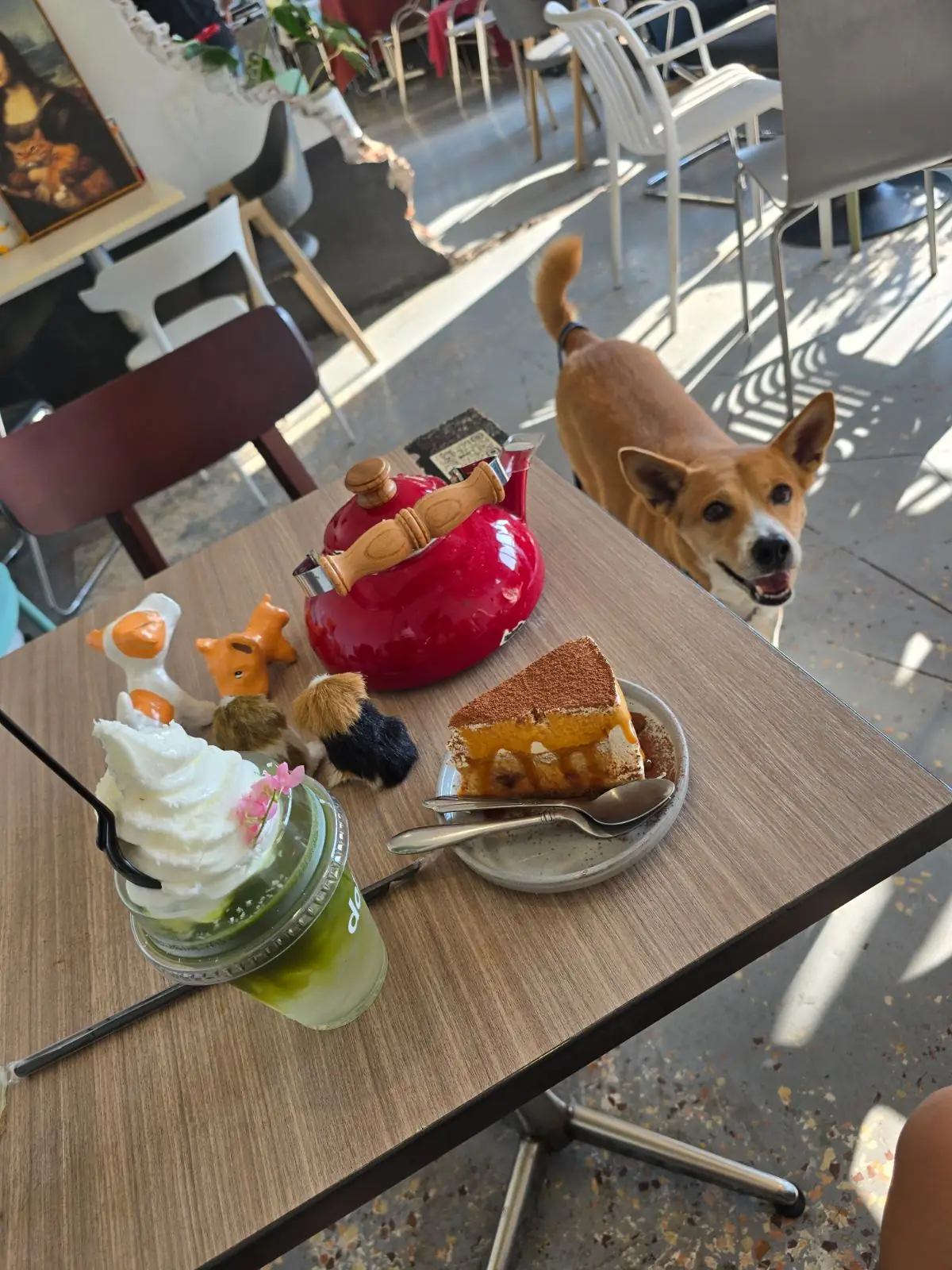 doze coffee community food image 1