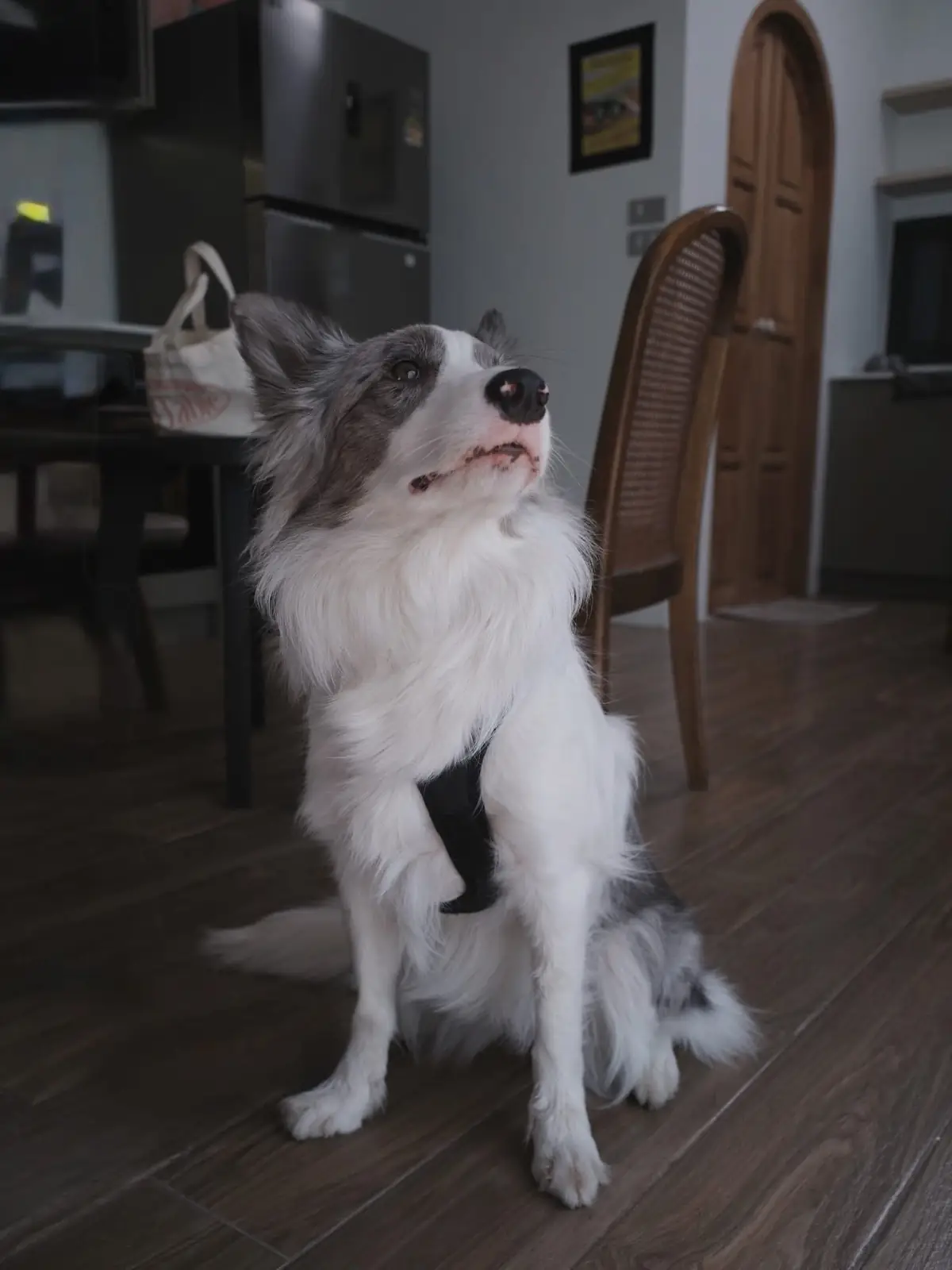 A Matcha House - Rama 9 pets image 2