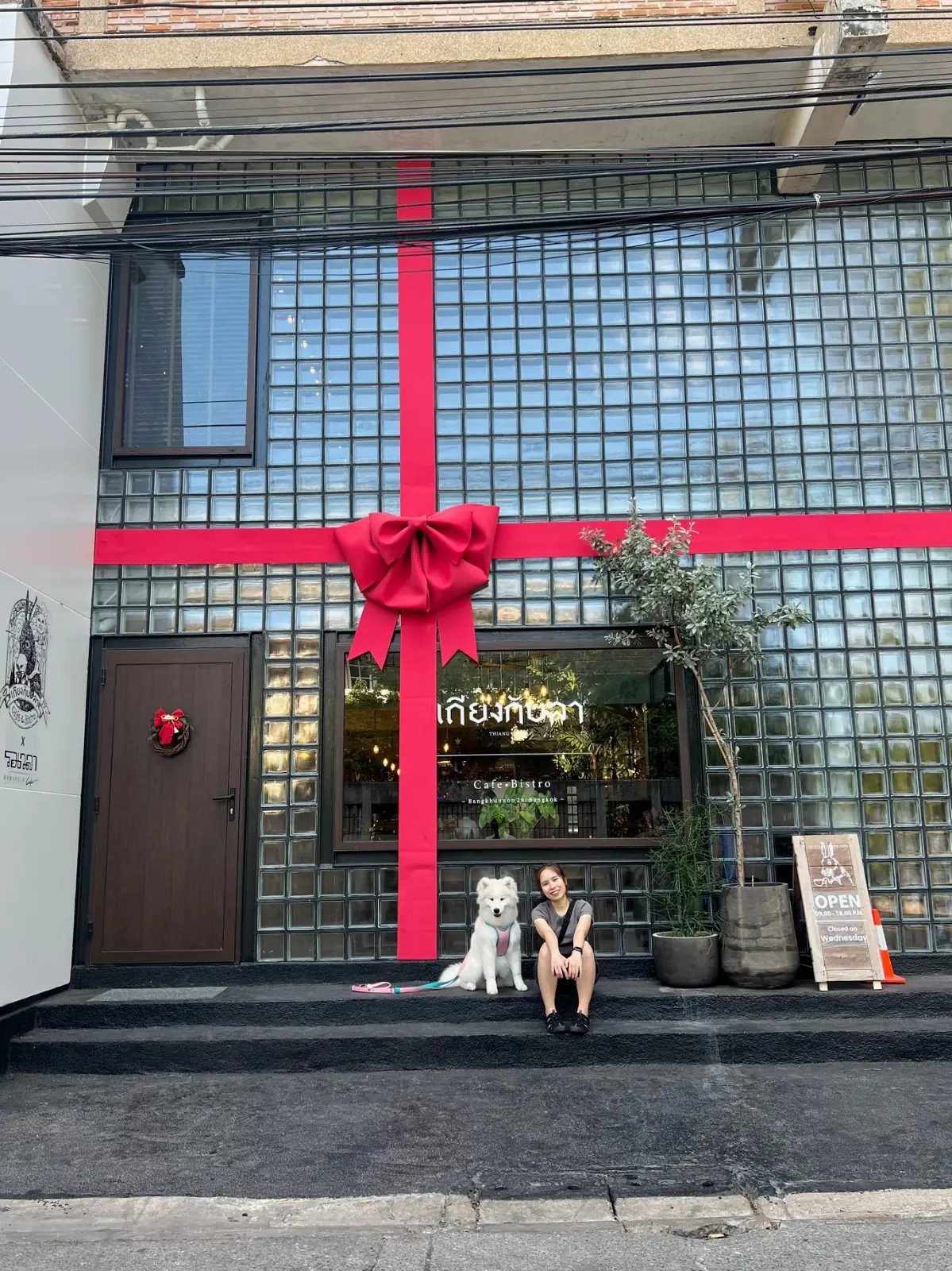 เถียงกับลา pets image 7