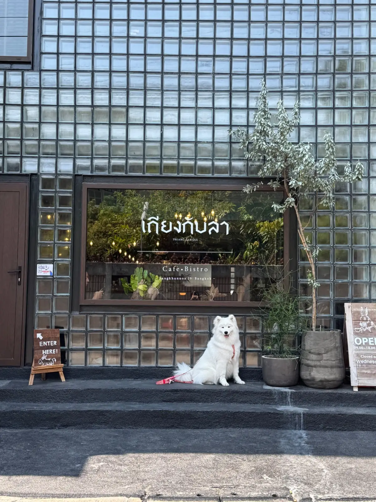 เถียงกับลา overall image 5