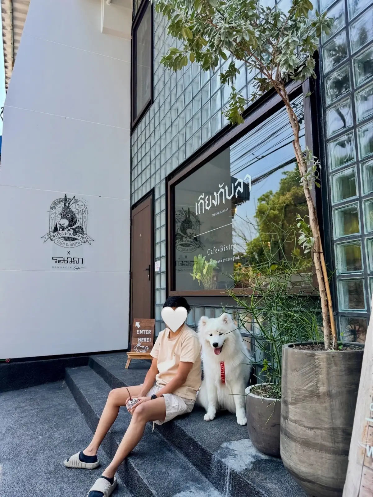 เถียงกับลา pets image 2