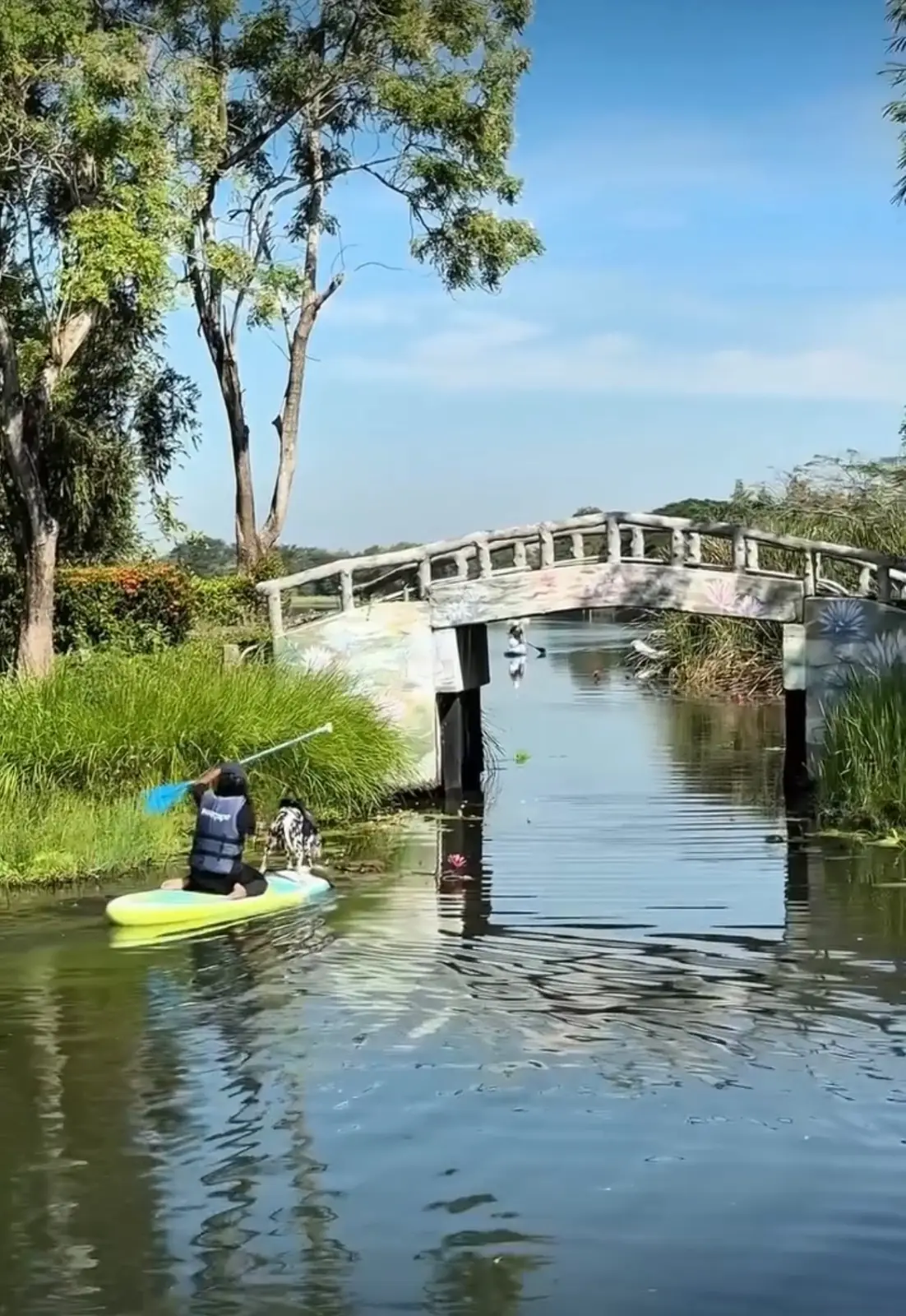 Mazecape amenities image 1