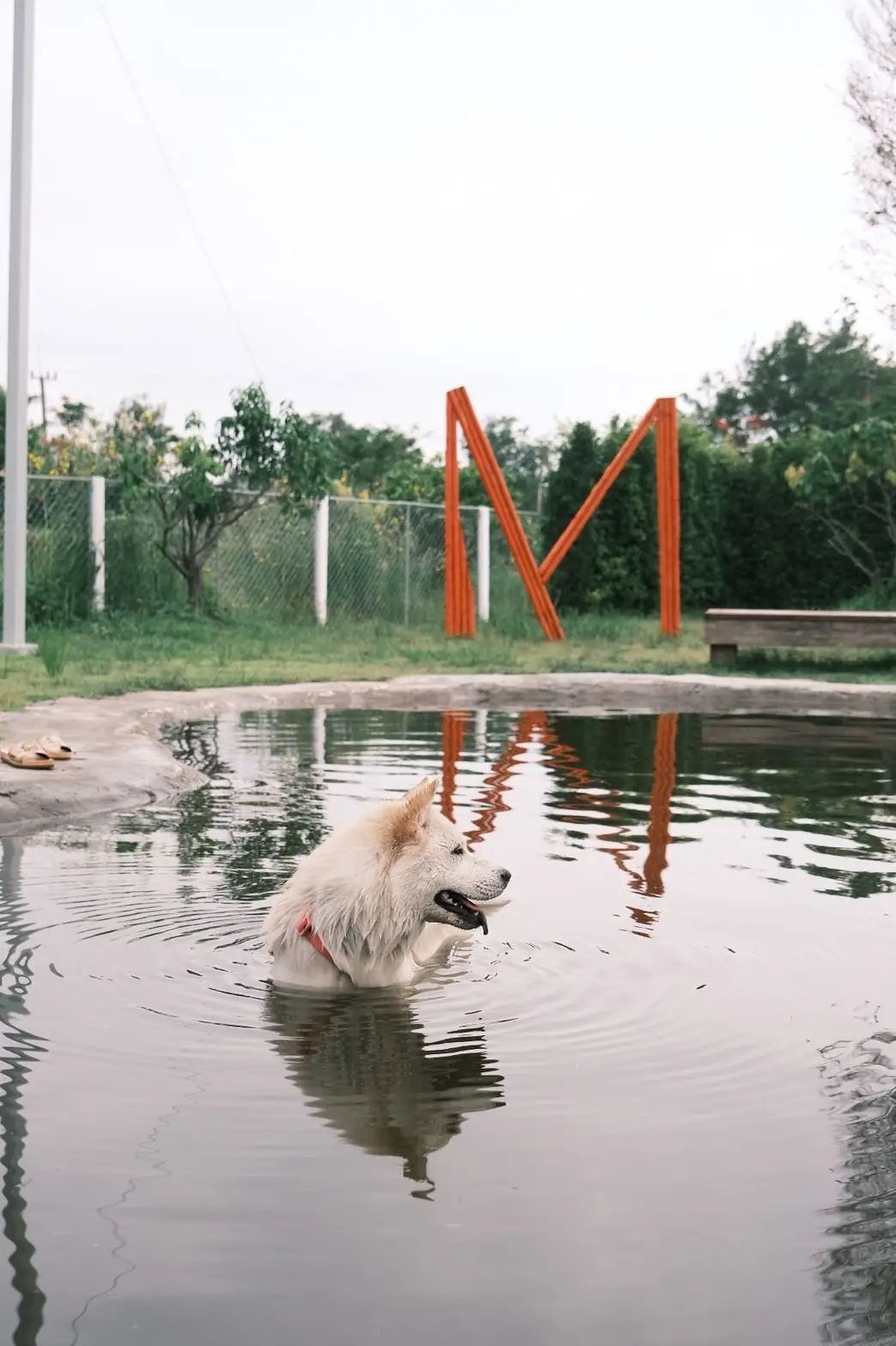 Mazecape pets image 13